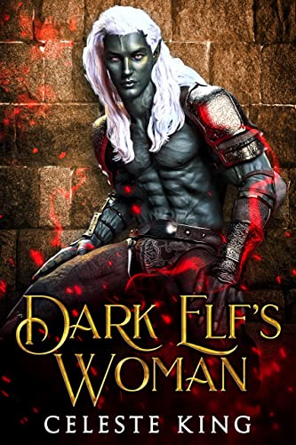 Dark Elfs Woman by Celeste King