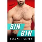 Sin Bin by Teagan Hunter