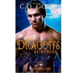 The Dragons Surprise by C.D. Gorri 1