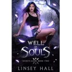Well of Souls Linsey Hall