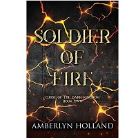 Soldier of Fire by Amberlyn Holland PDF
