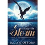 Beyond the Storm by Jaclyn Osborn PDF