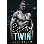 Bossy Billionaire Twin by Eden Storm PDF