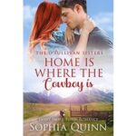 Home Is Where The Cowboy Is by Sophia Quinn PDF