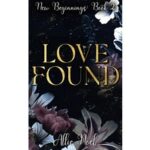 Love Found by Allie Noel PDF