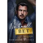 No Small Bet by Samantha Christy PDF