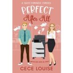 Perfect After All by Cece Louise PDF